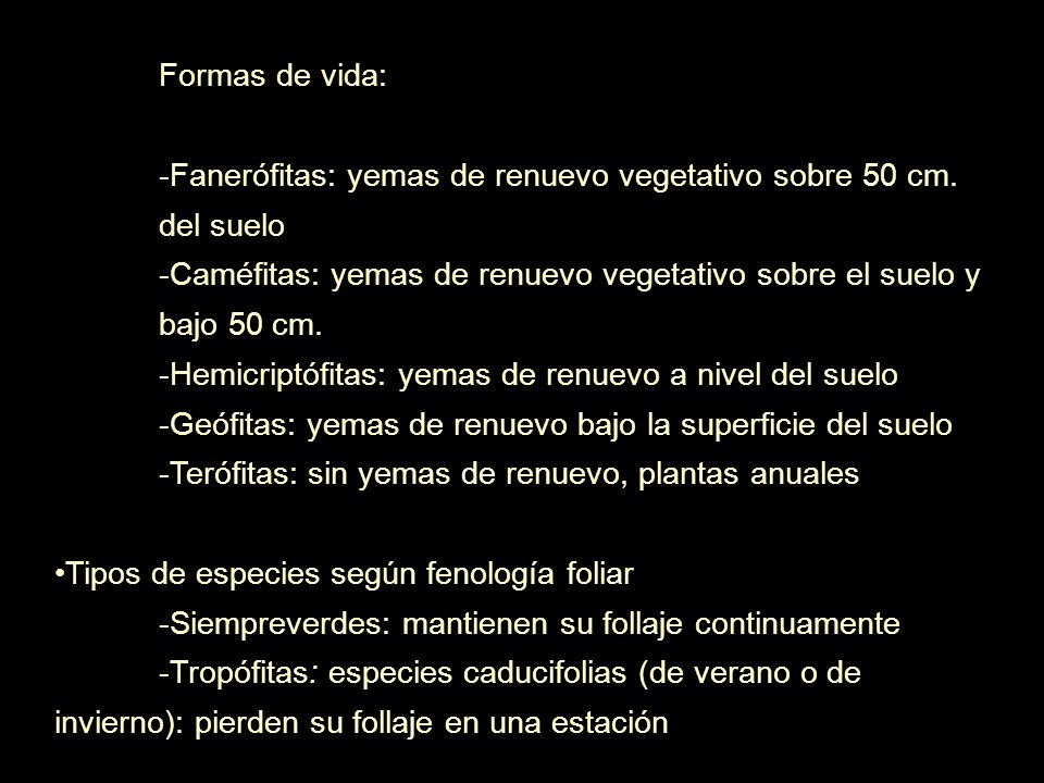 Formas de vida: Fanerófitas: yemas de renuevo vegetativo sobre 50 cm. del suelo. Caméfitas: yemas de renuevo vegetativo sobre el suelo y bajo 50 cm.