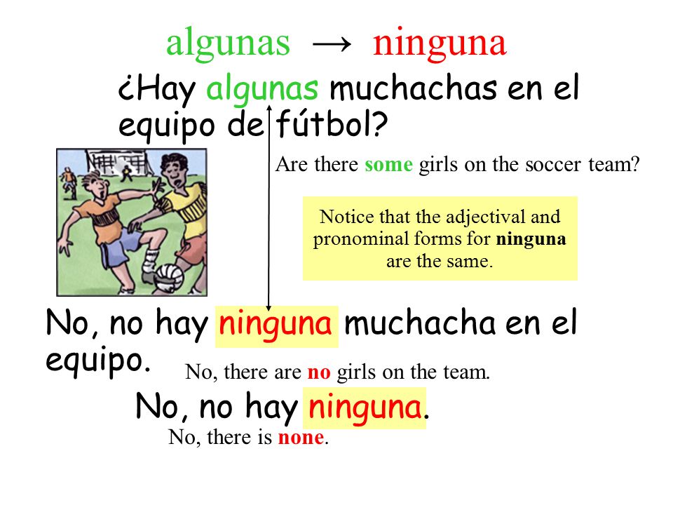 algunas → ninguna ¿Hay algunas muchachas en el equipo de fútbol