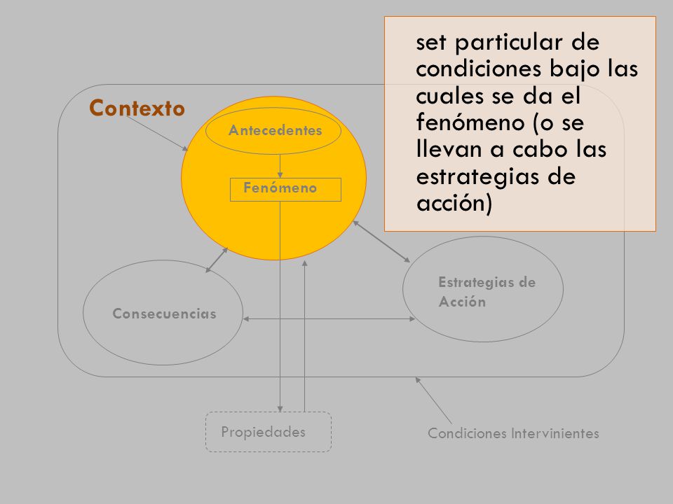 set particular de condiciones bajo las cuales se da el fenómeno (o se llevan a cabo las estrategias de acción)