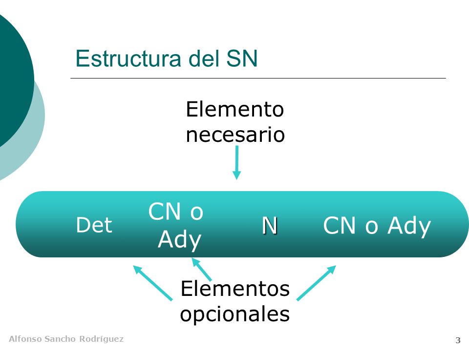 Estructura del SN CN o Ady N CN o Ady Elemento necesario Det