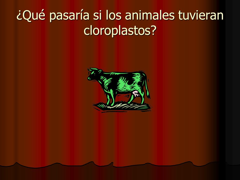 ¿Qué pasaría si los animales tuvieran cloroplastos