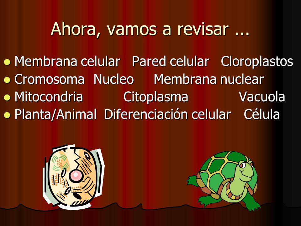 Ahora, vamos a revisar ... Membrana celular Pared celular Cloroplastos