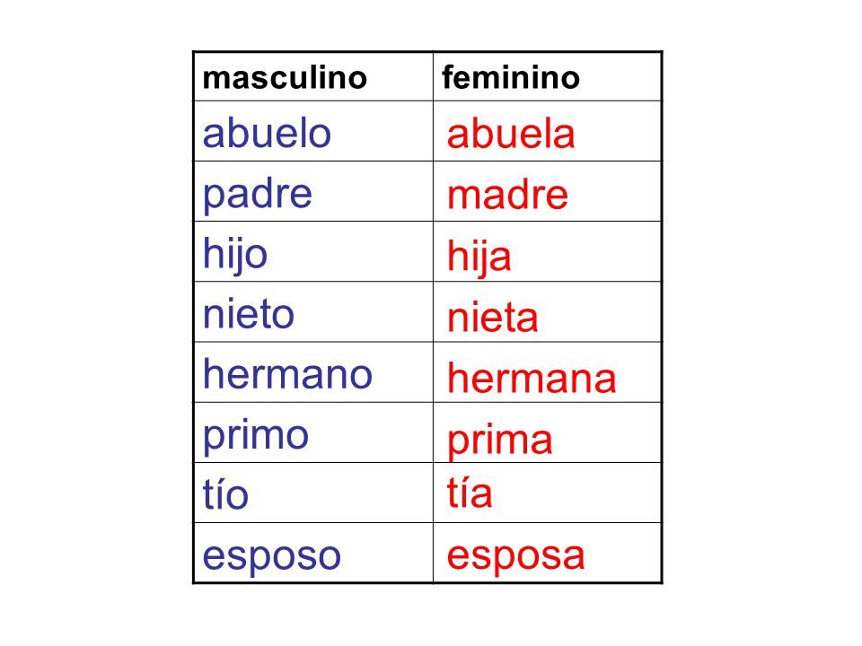 abuelo padre abuela hijo nieto madre hermano primo hija tío esposo