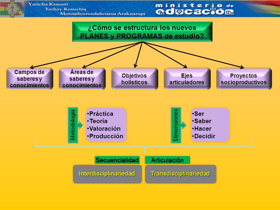 ¿Cómo se estructura los nuevos PLANES y PROGRAMAS de estudio