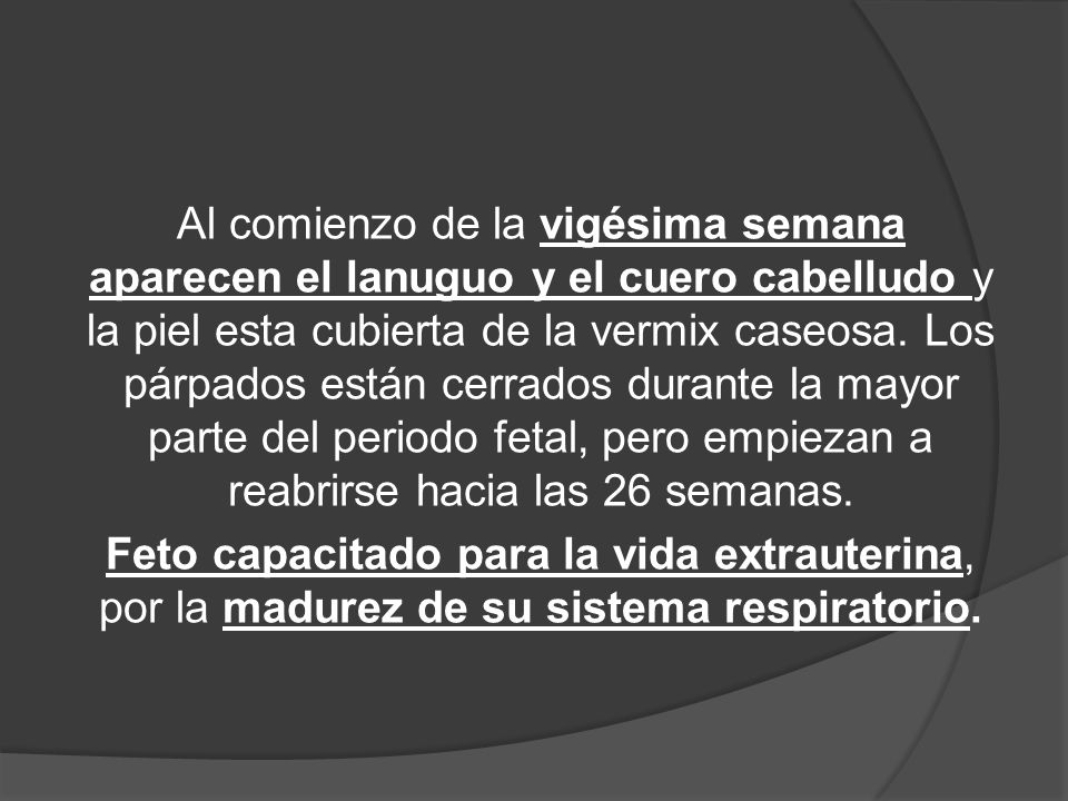 Al comienzo de la vigésima semana aparecen el lanuguo y el cuero cabelludo y la piel esta cubierta de la vermix caseosa. Los párpados están cerrados durante la mayor parte del periodo fetal, pero empiezan a reabrirse hacia las 26 semanas.