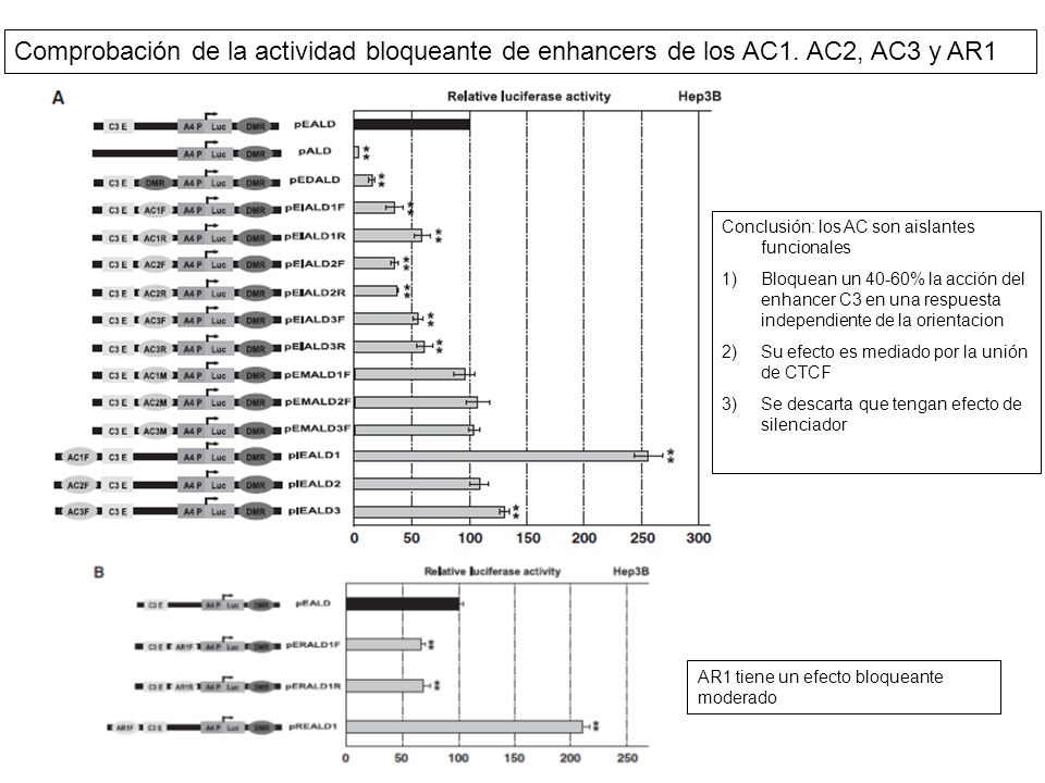 Comprobación de la actividad bloqueante de enhancers de los AC1