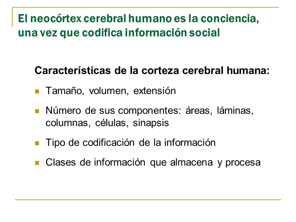 El neocórtex cerebral humano es la conciencia, una vez que codifica información social