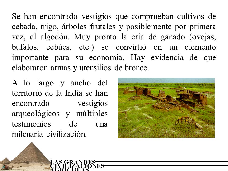 Se han encontrado vestigios que comprueban cultivos de cebada, trigo, árboles frutales y posiblemente por primera vez, el algodón. Muy pronto la cría de ganado (ovejas, búfalos, cebúes, etc.) se convirtió en un elemento importante para su economía. Hay evidencia de que elaboraron armas y utensilios de bronce.