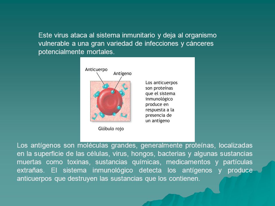 Este virus ataca al sistema inmunitario y deja al organismo vulnerable a una gran variedad de infecciones y cánceres potencialmente mortales.