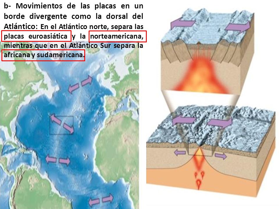 b- Movimientos de las placas en un borde divergente como la dorsal del Atlántico: En el Atlántico norte, separa las placas euroasiática y la norteamericana, mientras que en el Atlántico Sur separa la africana y sudamericana.