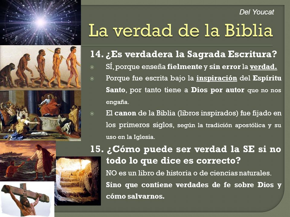 La verdad de la Biblia 14. ¿Es verdadera la Sagrada Escritura