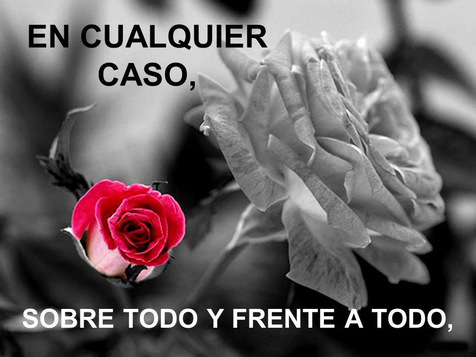 SOBRE TODO Y FRENTE A TODO,