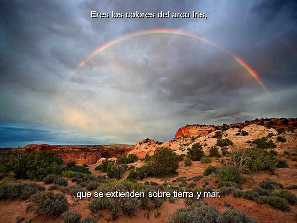 Eres los colores del arco Iris,