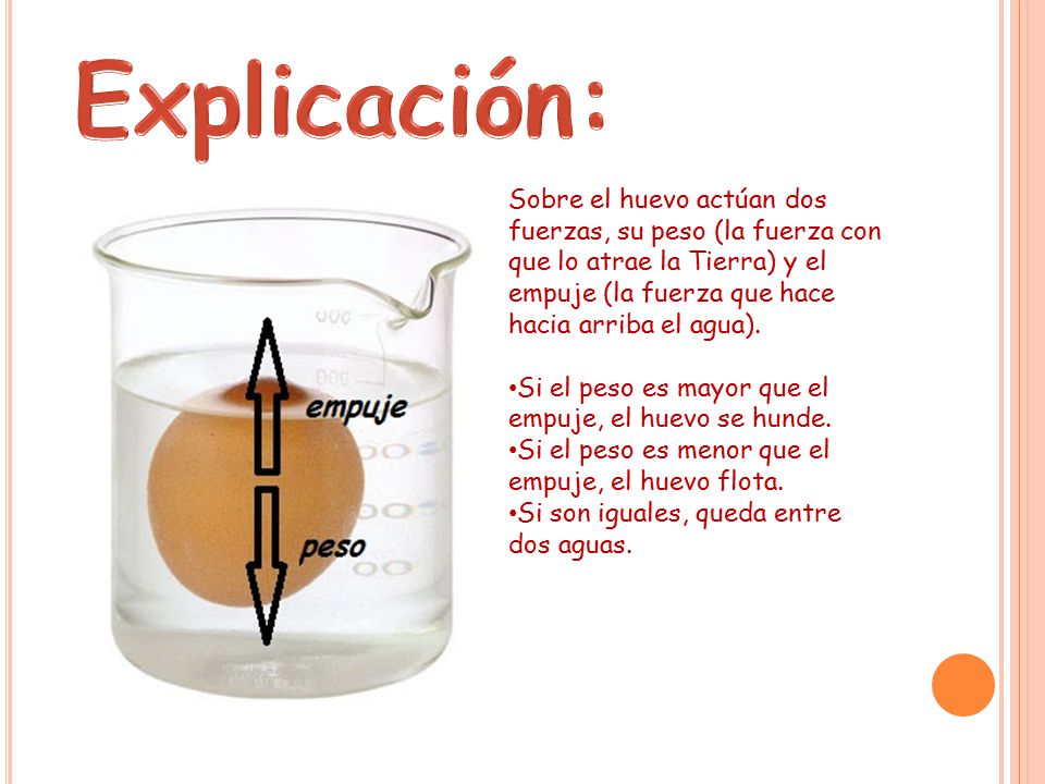 Explicación: Sobre el huevo actúan dos fuerzas, su peso (la fuerza con que lo atrae la Tierra) y el empuje (la fuerza que hace hacia arriba el agua).