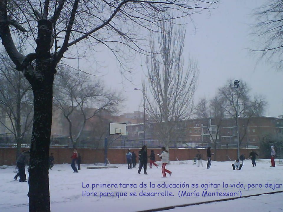La primera tarea de la educación es agitar la vida, pero dejarla libre para que se desarrolle.