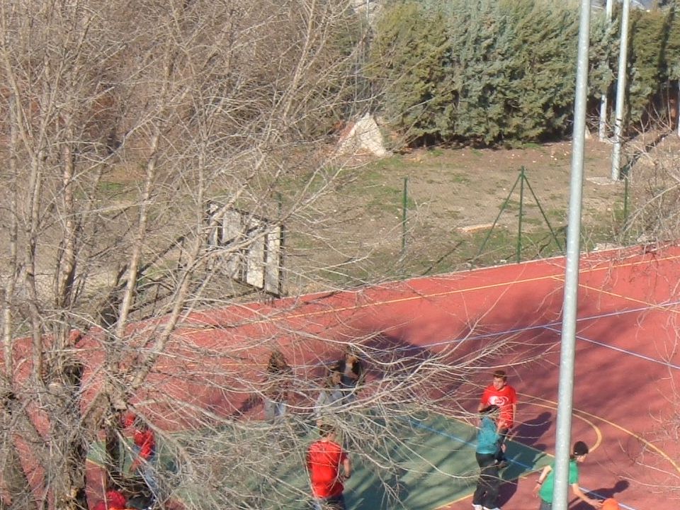 La primera tarea de la educación es agitar la vida, pero dejarla libre para que se desarrolle.