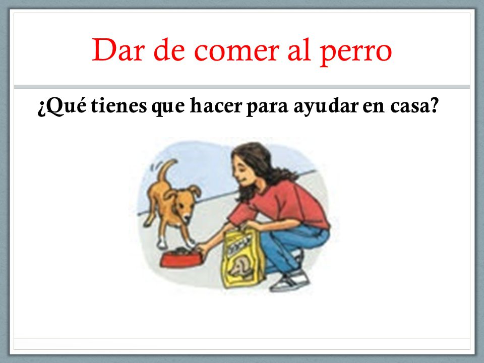 Dar de comer al perro ¿Qué tienes que hacer para ayudar en casa