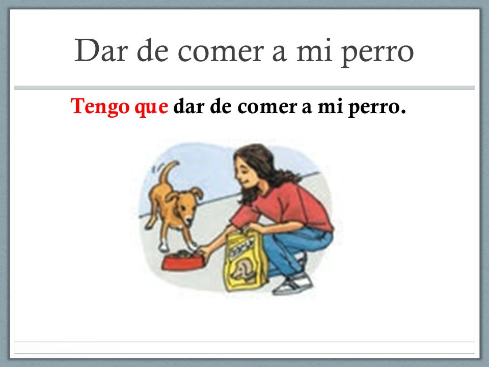 Dar de comer a mi perro Tengo que dar de comer a mi perro.