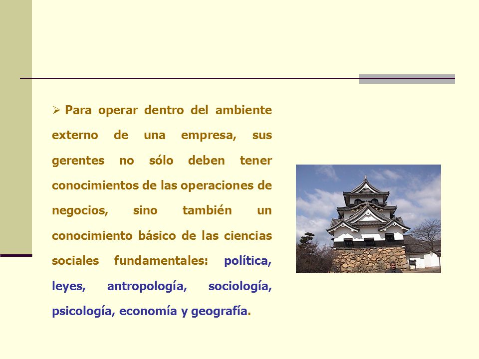Para operar dentro del ambiente externo de una empresa, sus gerentes no sólo deben tener conocimientos de las operaciones de negocios, sino también un conocimiento básico de las ciencias sociales fundamentales: política, leyes, antropología, sociología, psicología, economía y geografía.