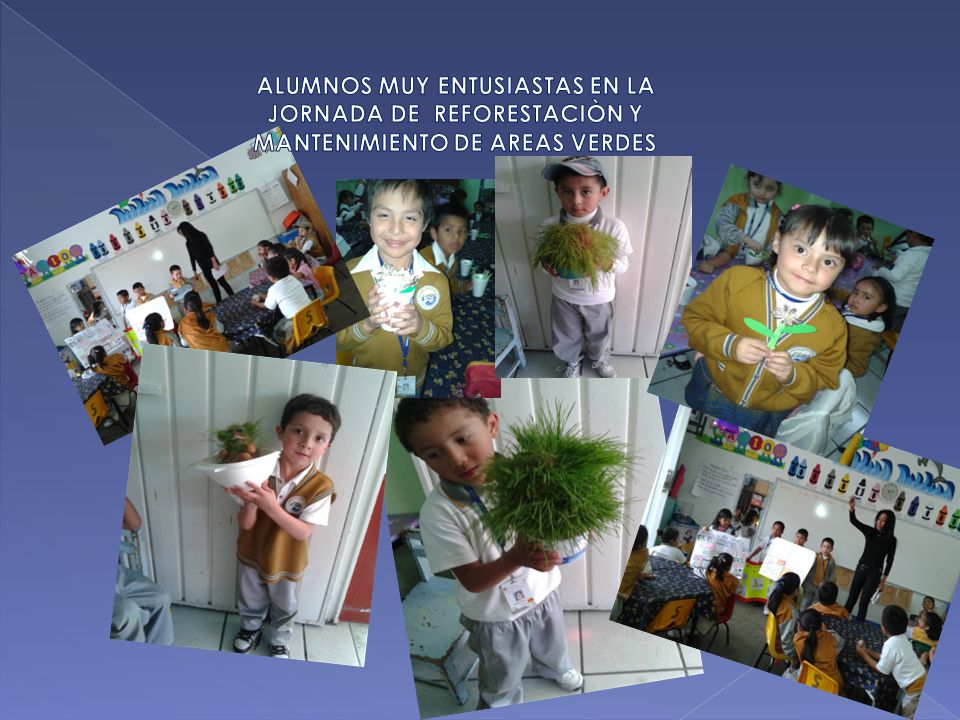 ALUMNOS MUY ENTUSIASTAS EN LA JORNADA DE REFORESTACIÒN Y MANTENIMIENTO DE AREAS VERDES