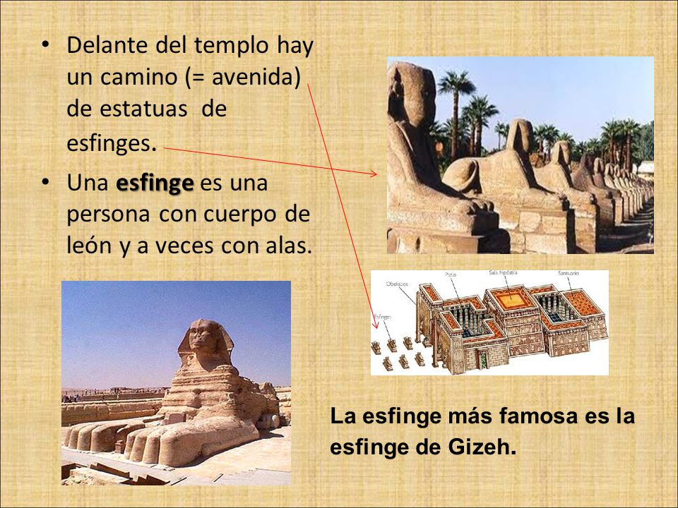 Delante del templo hay un camino (= avenida) de estatuas de esfinges.