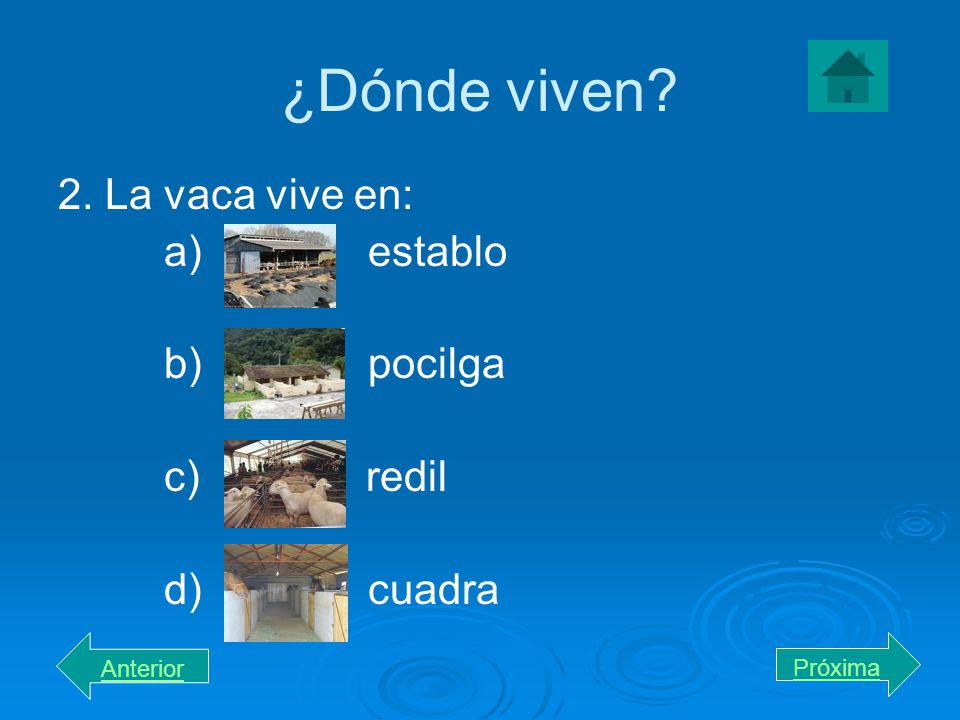 ¿Dónde viven 2. La vaca vive en: a) establo b) pocilga c) redil
