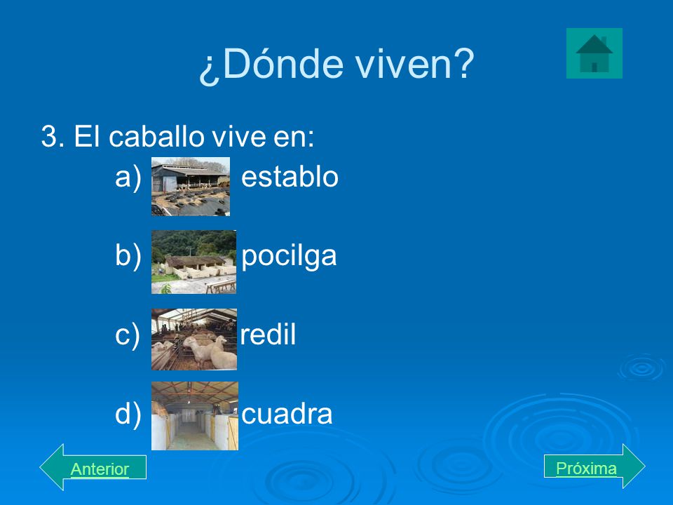 ¿Dónde viven 3. El caballo vive en: a) establo b) pocilga c) redil