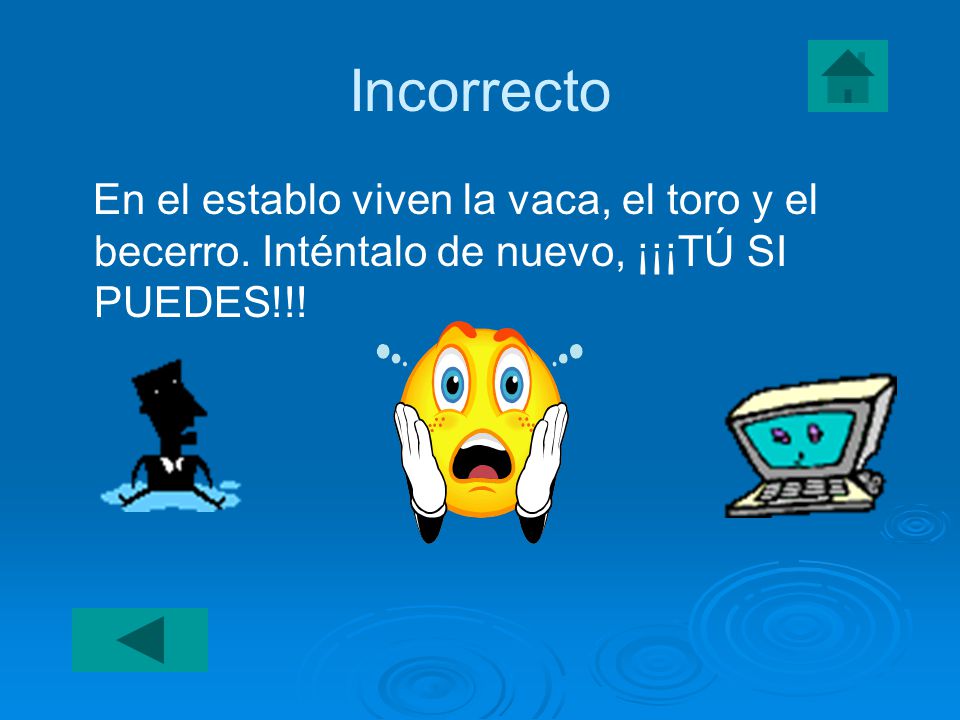 Incorrecto En el establo viven la vaca, el toro y el becerro.
