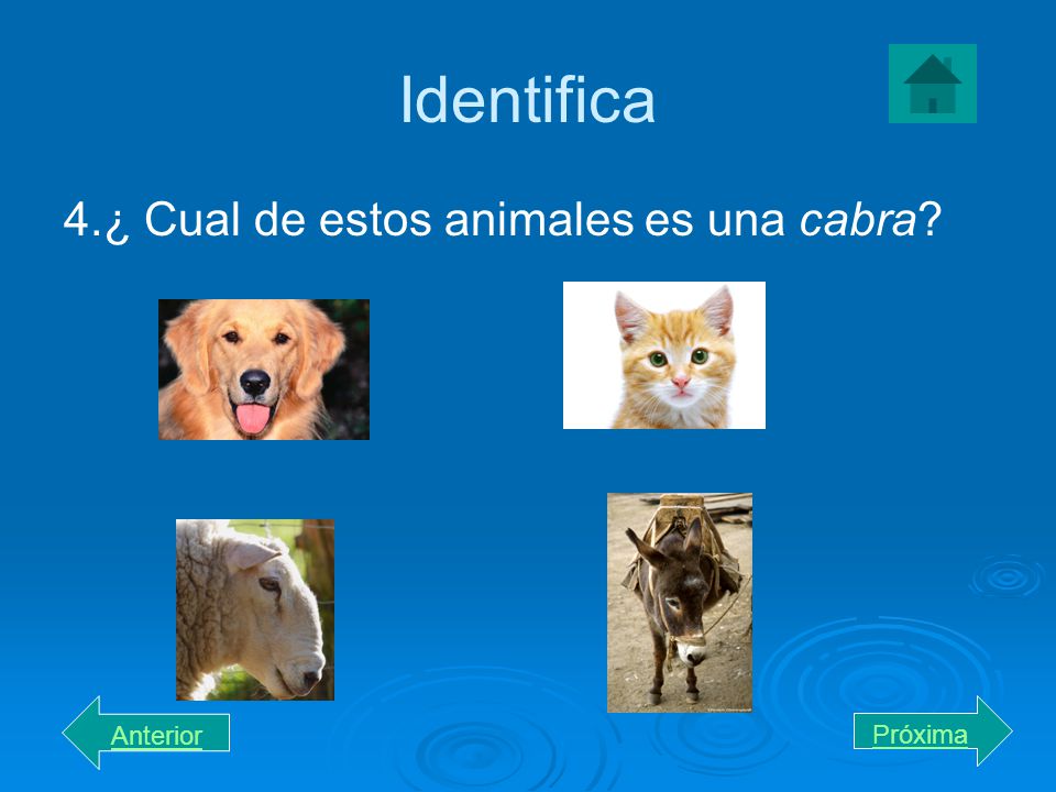Identifica 4.¿ Cual de estos animales es una cabra Anterior Próxima
