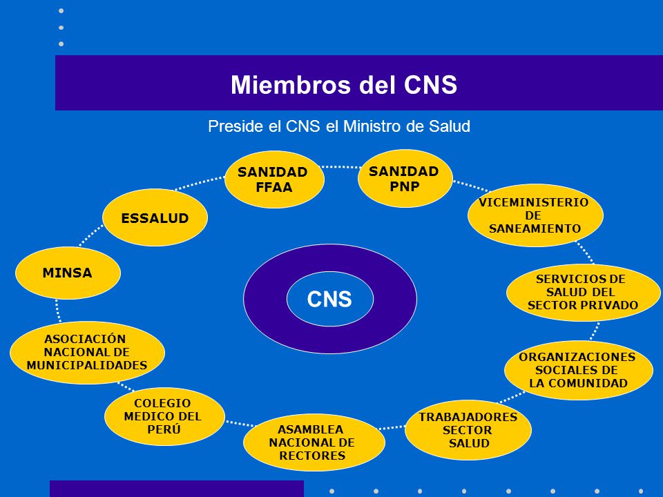 Miembros del CNS CNS Preside el CNS el Ministro de Salud SANIDAD