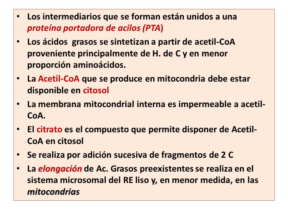 Los intermediarios que se forman están unidos a una proteína portadora de acilos (PTA)