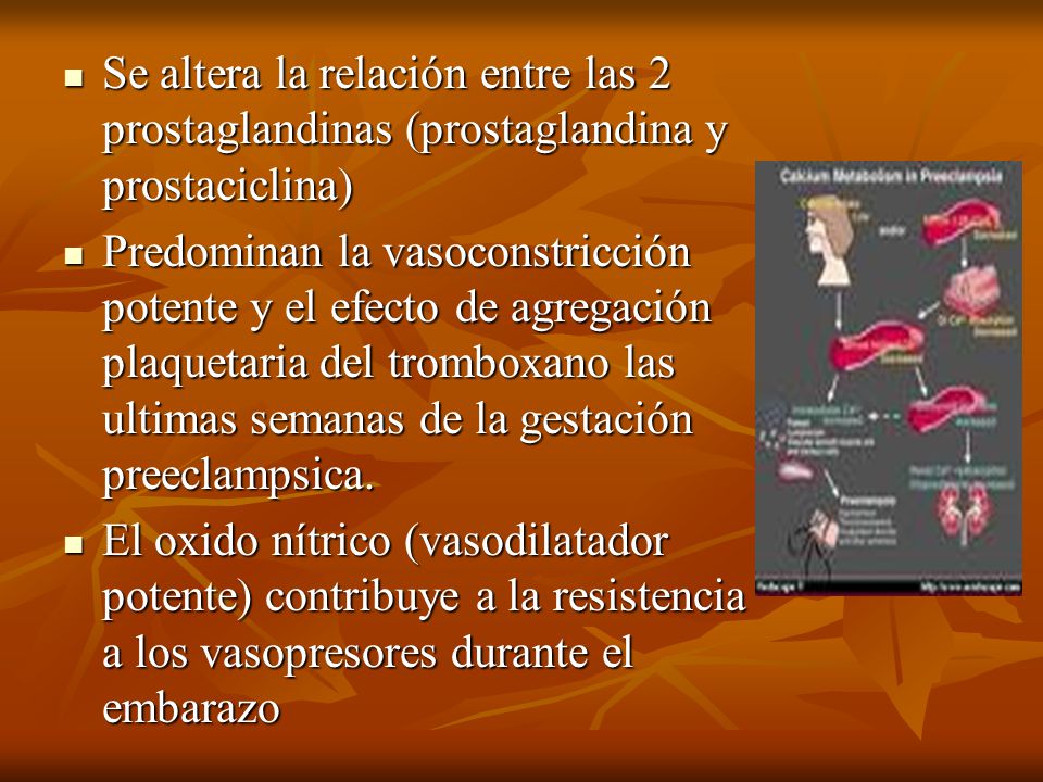 Se altera la relación entre las 2 prostaglandinas (prostaglandina y prostaciclina)