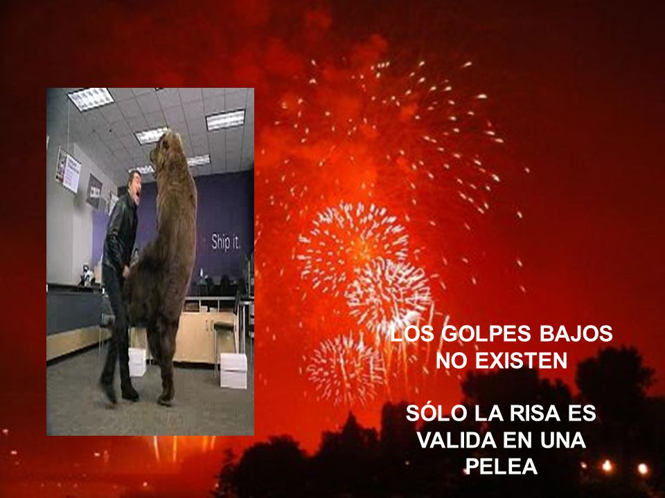 LOS GOLPES BAJOS NO EXISTEN SÓLO LA RISA ES VALIDA EN UNA PELEA