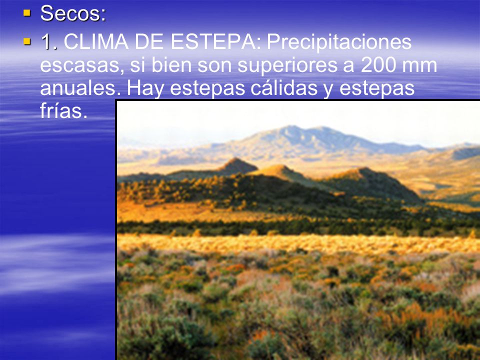 Secos: 1. CLIMA DE ESTEPA: Precipitaciones escasas, si bien son superiores a 200 mm anuales.