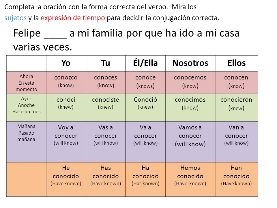 Felipe ____ a mi familia por que ha ido a mi casa varias veces.