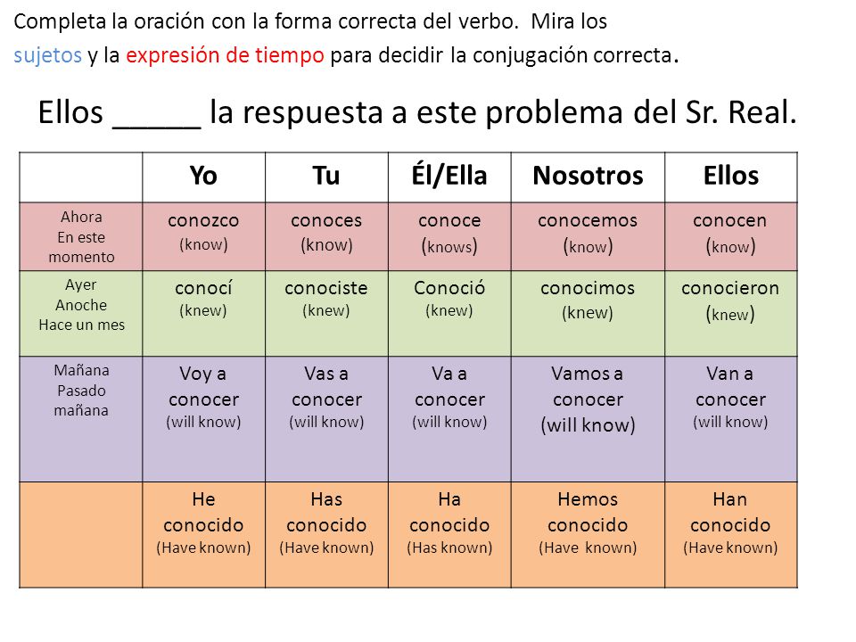 Ellos _____ la respuesta a este problema del Sr. Real.
