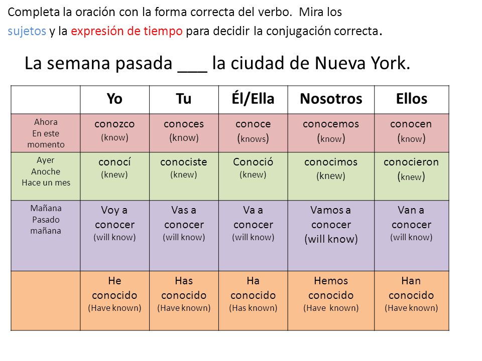 La semana pasada ___ la ciudad de Nueva York.