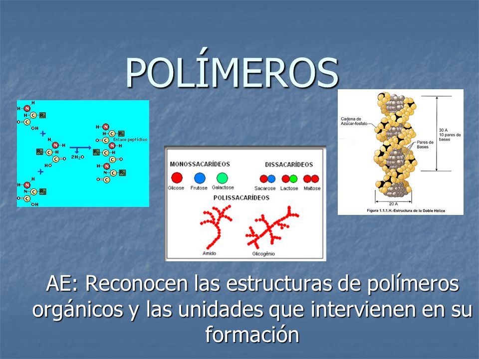 POLÍMEROS AE: Reconocen las estructuras de polímeros orgánicos y las unidades que intervienen en su formación.