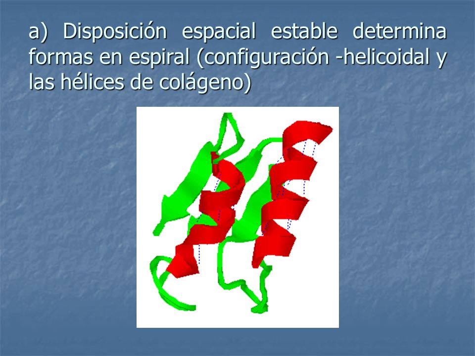 a) Disposición espacial estable determina formas en espiral (configuración -helicoidal y las hélices de colágeno)