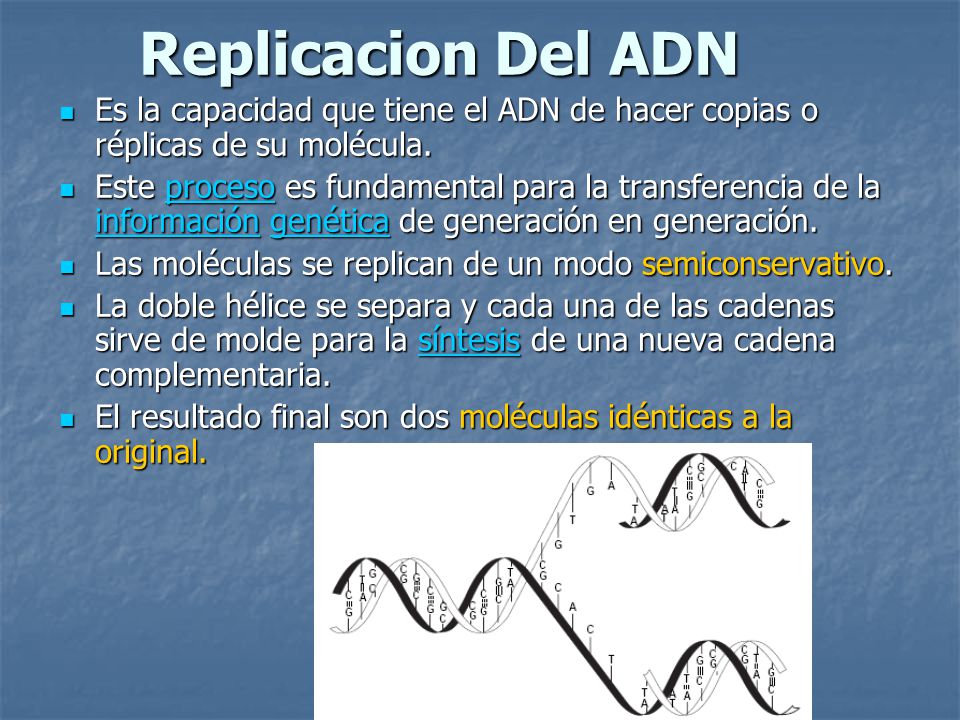 Replicacion Del ADN Es la capacidad que tiene el ADN de hacer copias o réplicas de su molécula.