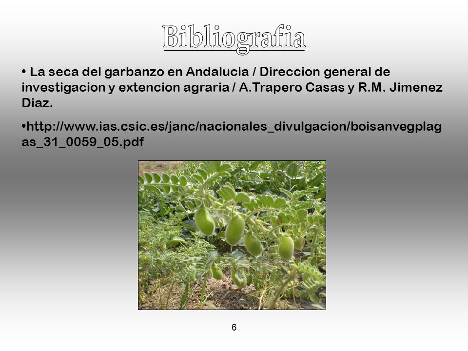 Bibliografia La seca del garbanzo en Andalucia / Direccion general de investigacion y extencion agraria / A.Trapero Casas y R.M. Jimenez Diaz.
