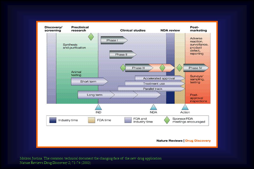 Molzon Justina. The common technical document the changing face of the new drug application