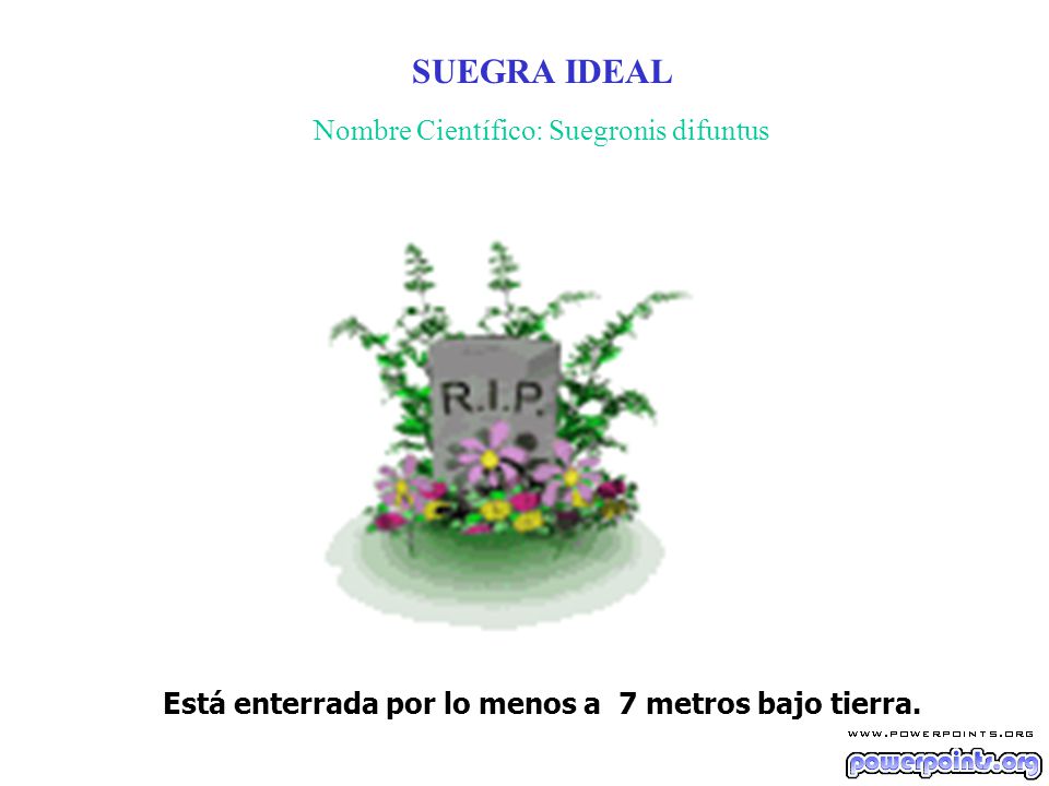 Está enterrada por lo menos a 7 metros bajo tierra.