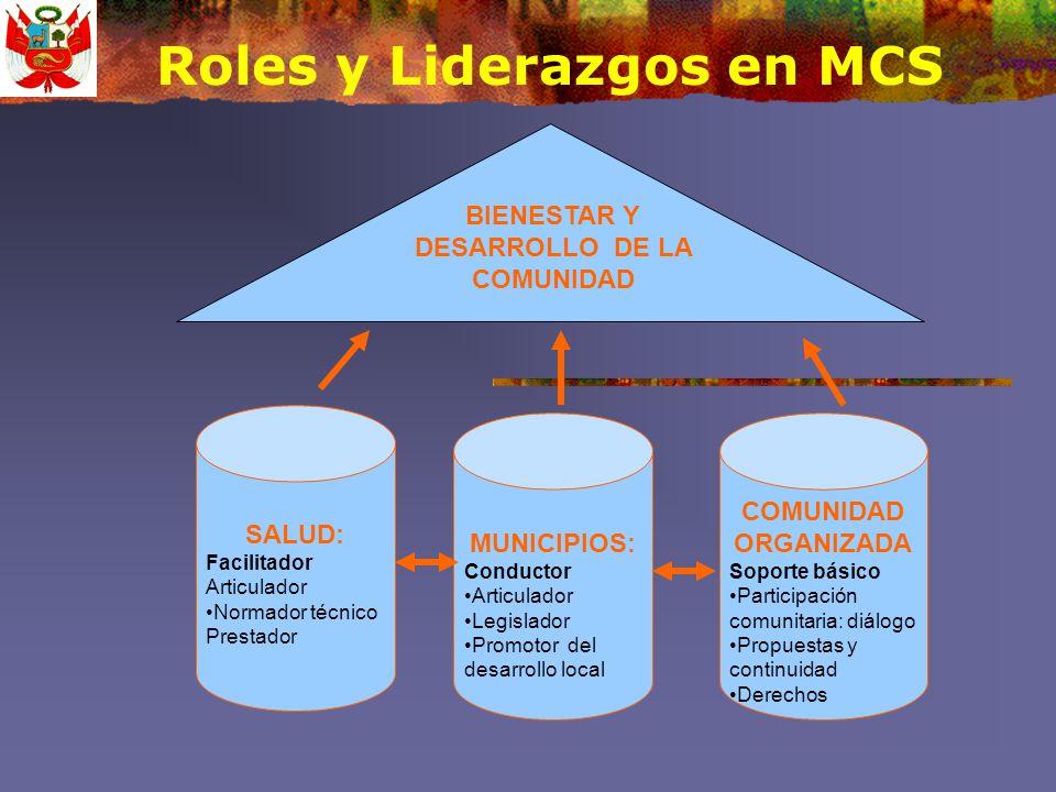 Roles y Liderazgos en MCS BIENESTAR Y DESARROLLO DE LA COMUNIDAD