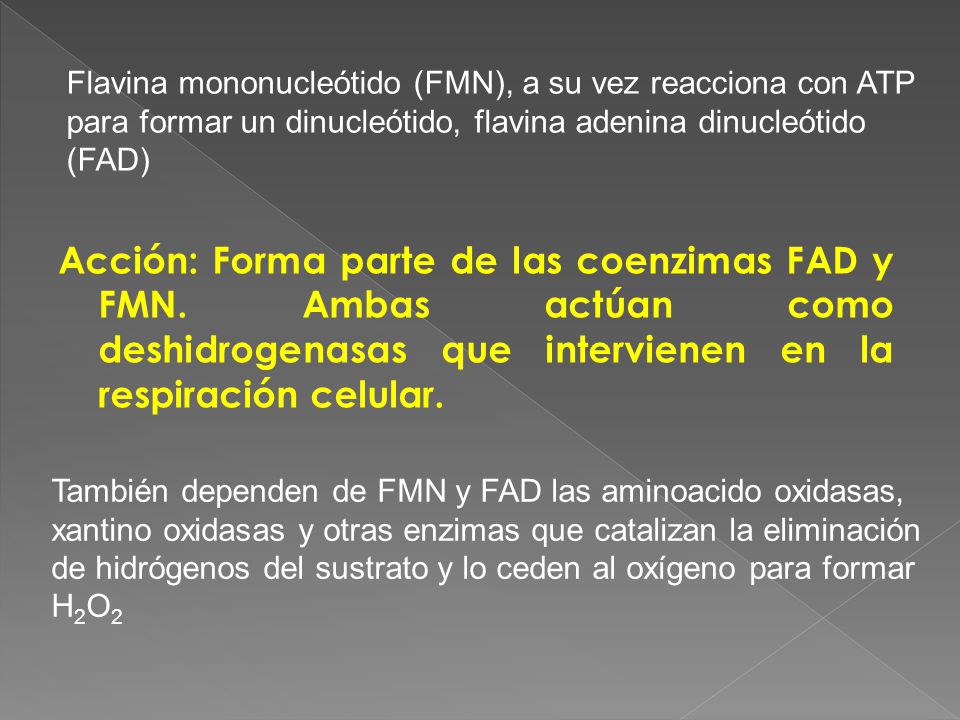 Flavina mononucleótido (FMN), a su vez reacciona con ATP para formar un dinucleótido, flavina adenina dinucleótido (FAD)