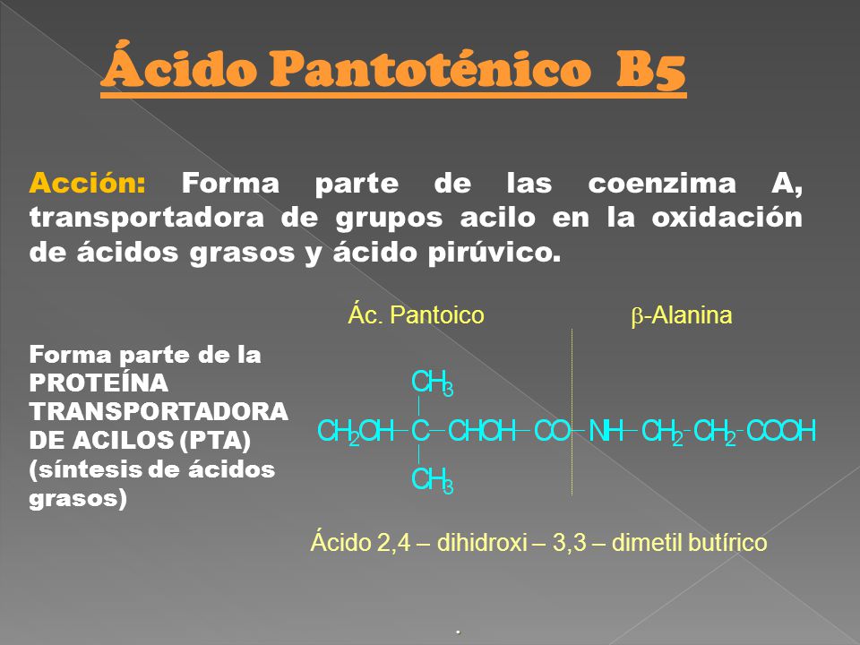 Ácido Pantoténico B5 Acción: Forma parte de las coenzima A, transportadora de grupos acilo en la oxidación de ácidos grasos y ácido pirúvico.