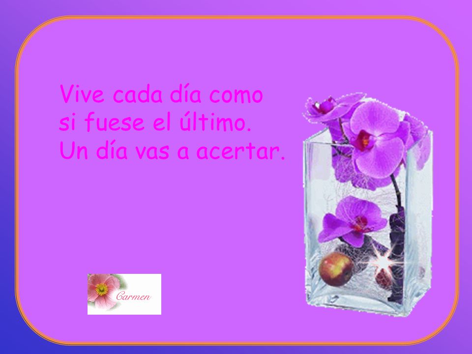 Vive cada día como si fuese el último. Un día vas a acertar.