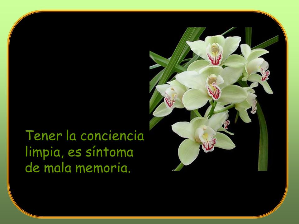 Tener la conciencia limpia, es síntoma de mala memoria.