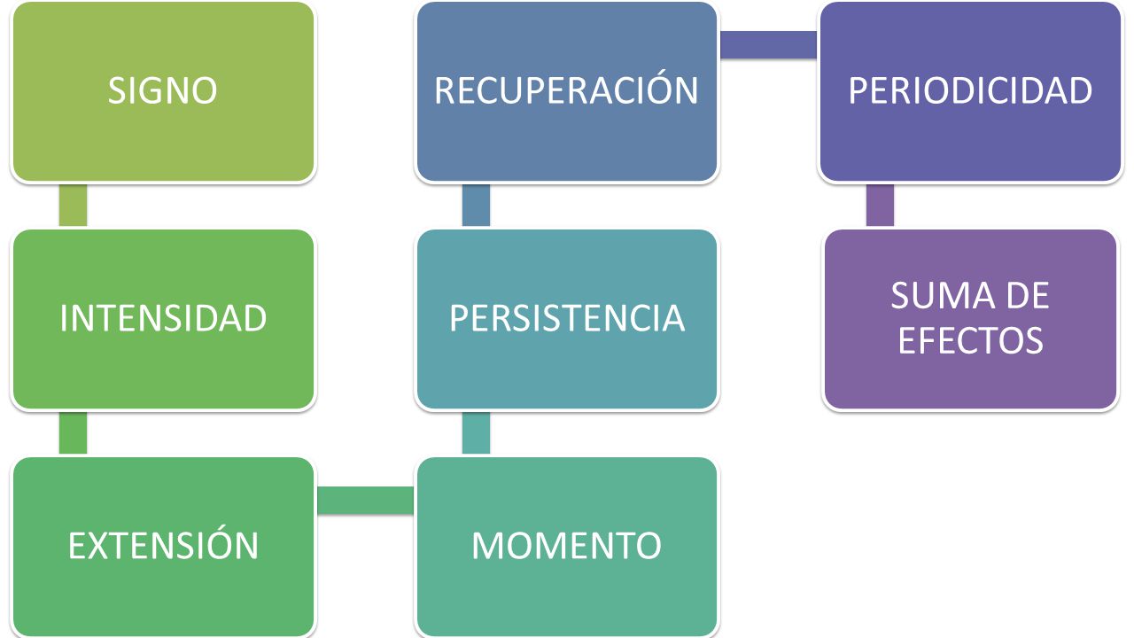 SIGNO INTENSIDAD EXTENSIÓN MOMENTO PERSISTENCIA RECUPERACIÓN PERIODICIDAD SUMA DE EFECTOS