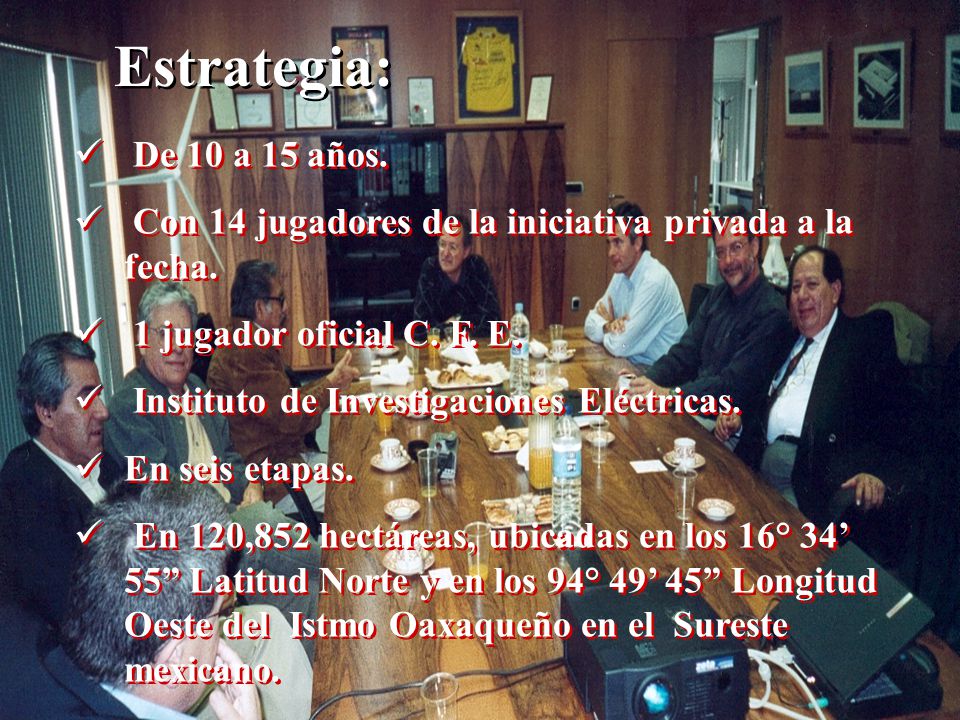 Estrategia: De 10 a 15 años. Con 14 jugadores de la iniciativa privada a la fecha. 1 jugador oficial C. F. E.